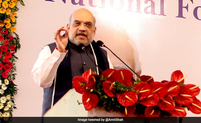 "Preserve Your Own Language. It Is My Request To You...": Amit Shah To Students