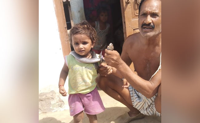 UP Man Bit While Showing Off Snake He Rescued, Dies