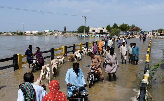 UN Chief Antonio Guterres To Travel To Flood-Hit Pakistan On Solidarity Visit