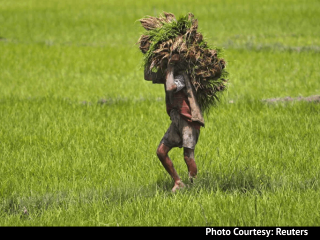 Cabinet Approves 1.5% Interest Aid On Agriculture Loan