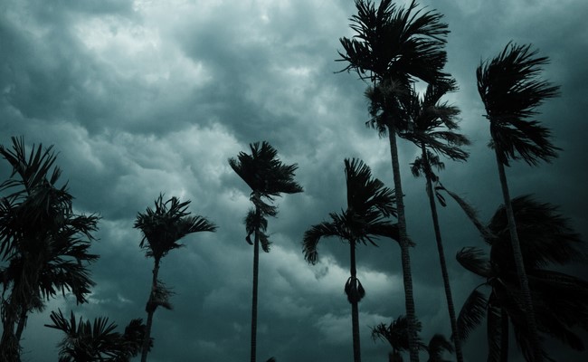 Monsoon To Gain Momentum In 3-4 Days: Weather Officials
