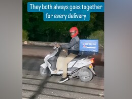 Viral Video: Adorable Dog Accompanies Pizza Delivery Executive; Wins Hearts