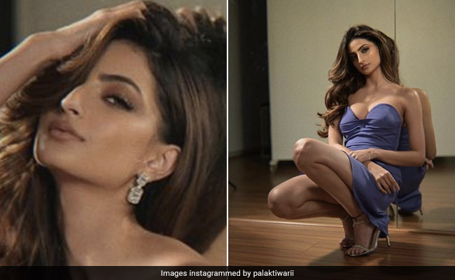 Palak Tiwari, Must You Really Make It So Hard To Look Away From Your Purple Dress?