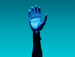 Union Budget 2026: Centre's Focus On Divyangjan, Artificial Limbs Production