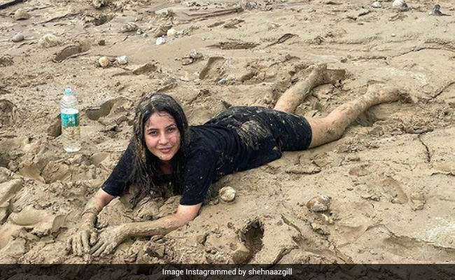 In Pics: Shehnaaz Gill Hilariously Sums Up Her "Spa Time"