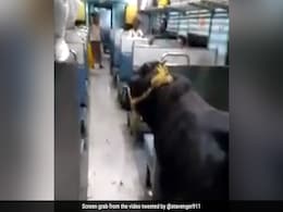 लोकल ट्रेन में चढ़ा दिया सांड, देखकर भाग खड़े हुए सभी यात्री, वायरल हुआ Video लोकल ट्रेन में चढ़ा दिया सांड, देखकर भाग खड़े हुए सभी यात्री, वायरल हुआ Video