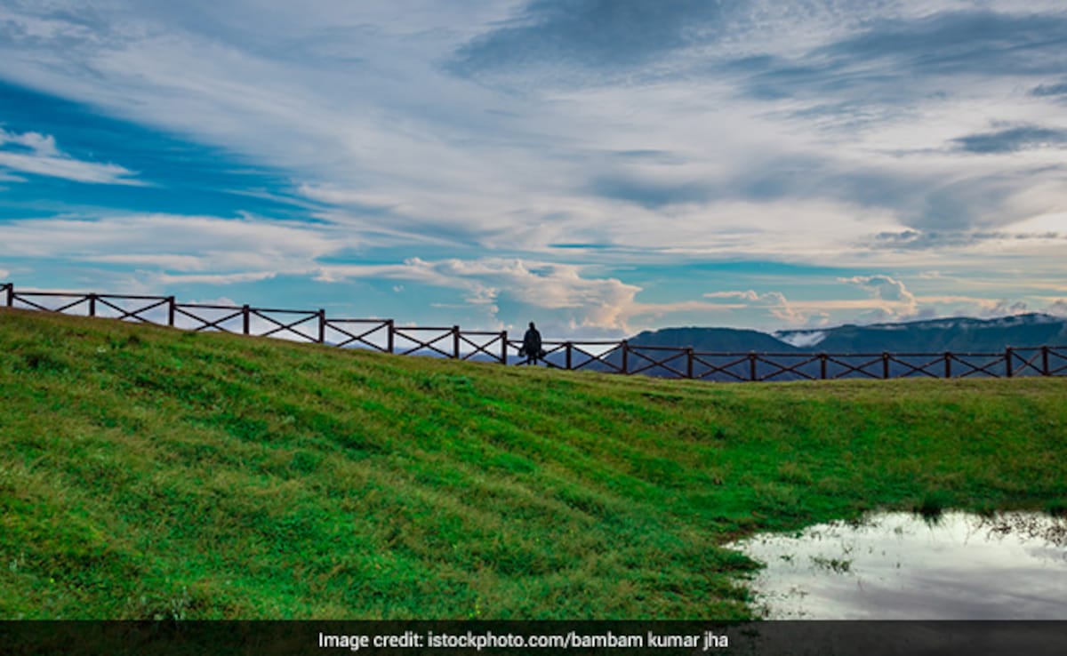 Latest and Breaking News on NDTV Latest and Breaking News on NDTV