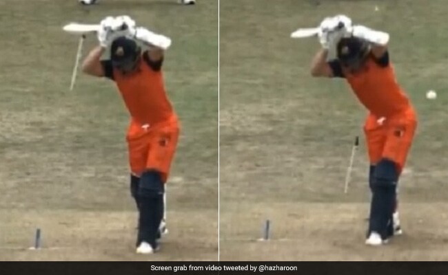 Watch viral video Netherlands vs Pakistan, 1st ODI Haris Rauf bowled the batsman without playing, the stump was seen doing dance in the air Watch viral video Netherlands vs Pakistan, 1st ODI Haris Rauf bowled the batsman without playing, the stump was seen doing dance in the air