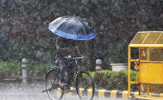 Rajasthan Weather Update: कोहरे और सर्दी के बीच राजस्थान में बारिश शुरू, IMD ने 4 दिसंबर तक बारिश के जताए आसार Rajasthan Weather Update: कोहरे और सर्दी के बीच राजस्थान में बारिश शुरू, IMD ने 4 दिसंबर तक बारिश के जताए आसार