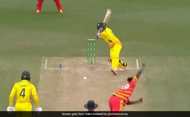 AUS  vs ZIM : जिम्बाब्वे ने ऑस्ट्रेलिया को उसी की धरती पर हराकर रचा इतिहास