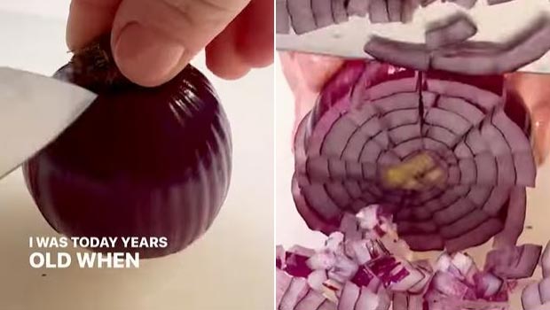 This Viral Hack Shows How To Chop Onion In 30 Seconds Or Less