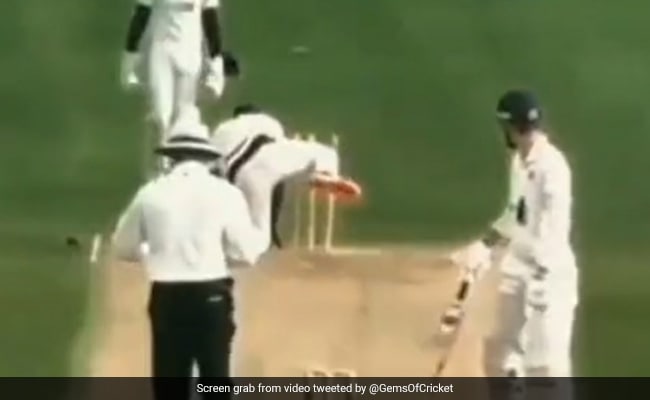 Watch viral video of Bowlers Bizarre Celebration After Claiming a Wicket Goes Viral Watch viral video of Bowlers Bizarre Celebration After Claiming a Wicket Goes Viral