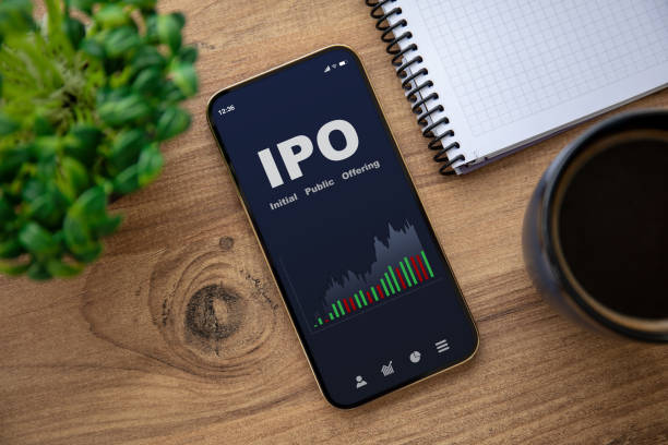 Syrma SGS Technology Raises Rs 252 Crore From Anchor Investors Ahead Of IPO - Vimarsana News
