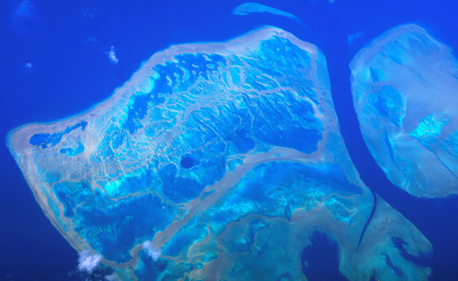 Parts Of Australia's Great Barrier Reef Show Highest Coral Cover In 36 Years