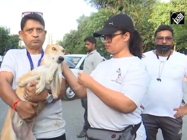 Noida's Twin Tower Demolition: NGOs Engage In Rescuing Street Dogs
