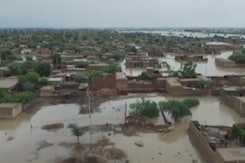 "Humanitarian Disaster": Pakistan Minister On Floods "Humanitarian Disaster": Pakistan Minister On Floods