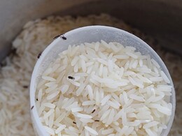 चावल, दाल और आटे में पड़ गए हैं घुन तो डिब्बे में बांध कर रख दें ये पीली चीज, सालों तक नहीं पडेंगे कीड़े चावल, दाल और आटे में पड़ गए हैं घुन तो डिब्बे में बांध कर रख दें ये पीली चीज, सालों तक नहीं पडेंगे कीड़े