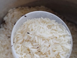 छोले-राजमा से लेकर दाल-चावल में लग जाते हैं कीड़े, तो इस सब्जी का छिलका करेगा मदद, सालों-साल नहीं होंगे खराब