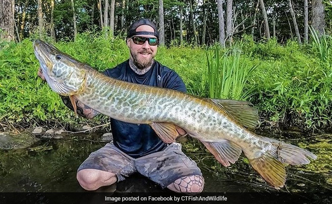 "Monster" Fish Caught By US Fisherman Leaves Internet Stunned