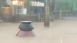 Viral Video Of Biryani Floating Away In Hyderabad Have Biryani Lovers Speechless