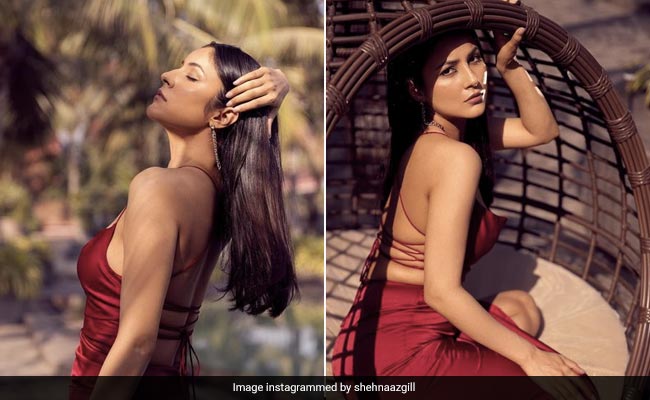We Don't Need No Bouquet Of Roses When We've Got Shehnaaz Gill In A Stunning Backless Red Dress