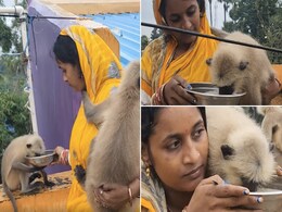लंगूरों को अपने बच्चे की तरह पालती-पोषती है यह महिला, मिलियंस बार देखा जा चुका है VIDEO लंगूरों को अपने बच्चे की तरह पालती-पोषती है यह महिला, मिलियंस बार देखा जा चुका है VIDEO