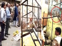 वृंदावन पहुंचे DM का चश्मा ले भागा बंदर, अखिलेश यादव ने ली चुटकी, देखें Video वृंदावन पहुंचे DM का चश्मा ले भागा बंदर, अखिलेश यादव ने ली चुटकी, देखें Video