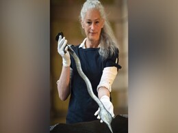 Watch: Indian Cultural Artefacts Stolen During British Rule Returned By UK Watch: Indian Cultural Artefacts Stolen During British Rule Returned By UK