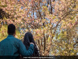 भारत की ये 4 जगहें हैं सबसे खुशहाल, अगली ट्रिप यहां करिए प्लान, ये रहे जगहों के नाम भारत की ये 4 जगहें हैं सबसे खुशहाल, अगली ट्रिप यहां करिए प्लान, ये रहे जगहों के नाम