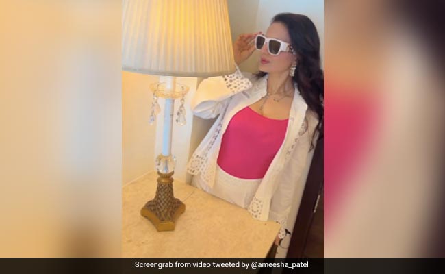 Supreme Court Stays Criminal Proceedings Against Actor Ameesha Patel