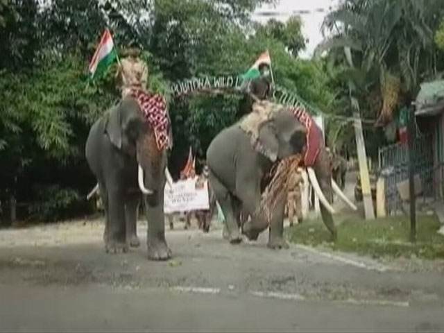 'Elephant Tiranga Rally' In Assam