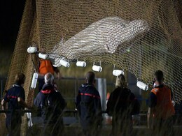 Ailing Beluga Whale Stranded In French River Dies During Rescue Attempt Ailing Beluga Whale Stranded In French River Dies During Rescue Attempt