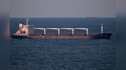 First Ukrainian Grain Shipment Since Russian Invasion Reaches Turkey