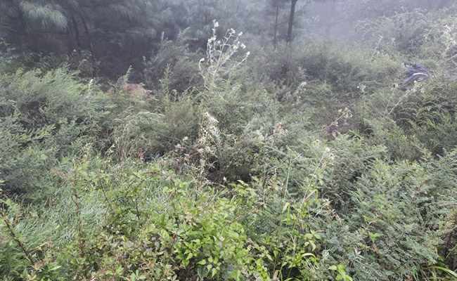 3 Terrorists Killed As Army Foils Infiltration Bid Along LoC In Kashmir