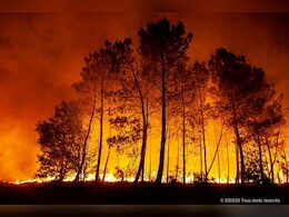 Carbon Emissions From French Wildfires Hit Record