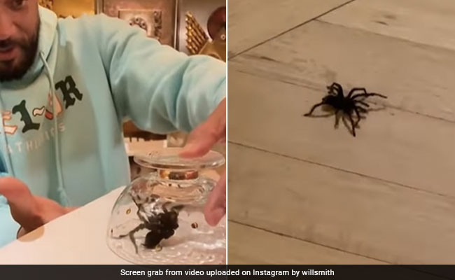 Watch: Will Smith Jokes He Is Selling His House After Spotting Massive Spider Walking Across Floor