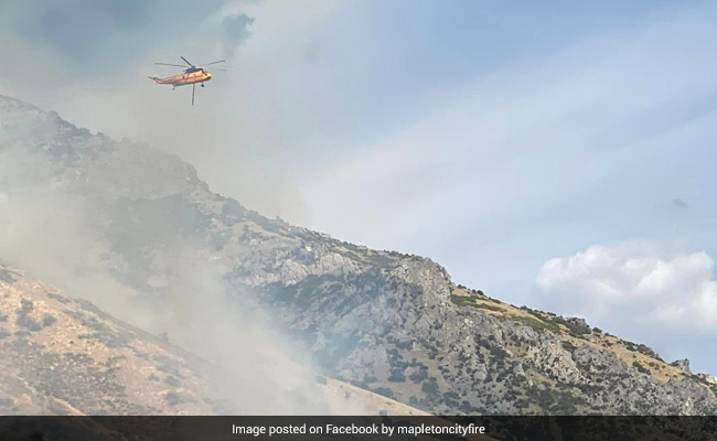 Man Arrested In US For Starting Wildfire While Trying To Kill Spider With Lighter: Police
