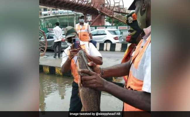 In Rain-Hit Bengaluru, "Fresh Catch" On Road Leaves Internet Stunned