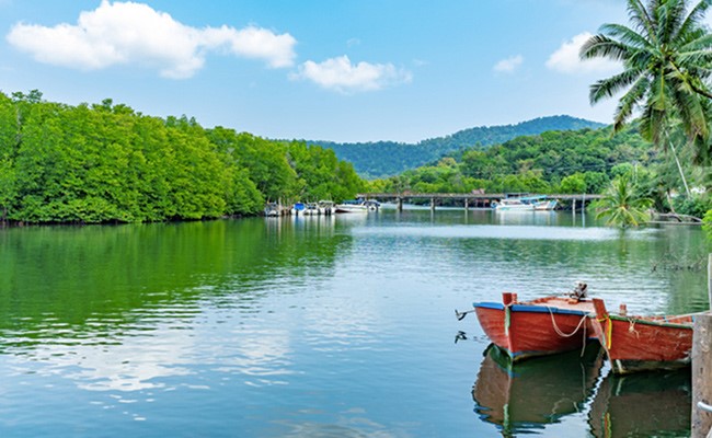 Top 5 Monsoon Destinations To Visit With Your Family