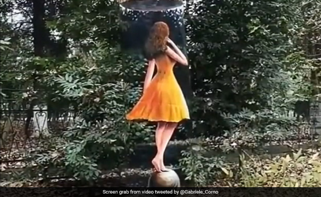 Viral Video: Artist Creates Amazing Optical Illusion On A Tree Trunk, Internet Stunned