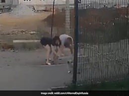 Watch: Man Jumps Into Drain To Save Son Who Fell Into It While Playing Watch: Man Jumps Into Drain To Save Son Who Fell Into It While Playing