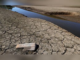 Drought Officially Declared In Several Parts Of England