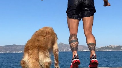 Watch: Man Jumps Into Water, Golden Retriever Follows Him