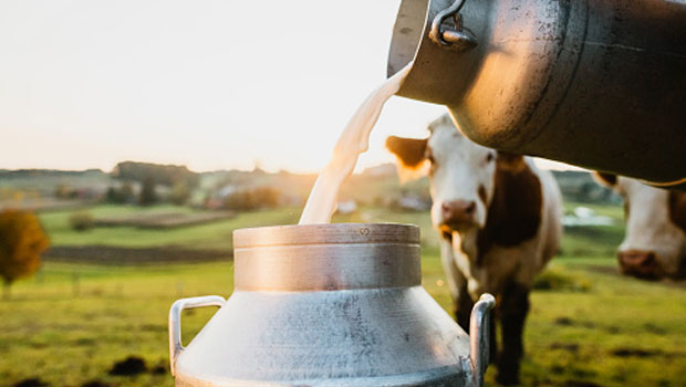 Cow's milk is more nutritive and should be preferred unless you want to go vegan or it does not suit you
