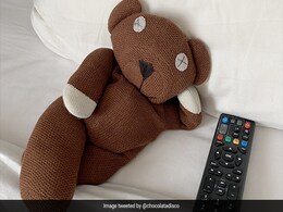 होटल के कमरे में Teddy Bear छोड़कर चली गई महिला, फिर हाउस कीपिंग वाले ने जो किया वो आप सोच भी नहीं पाएंगे होटल के कमरे में Teddy Bear छोड़कर चली गई महिला, फिर हाउस कीपिंग वाले ने जो किया वो आप सोच भी नहीं पाएंगे
