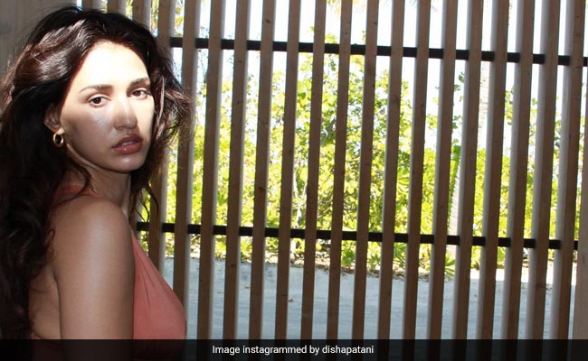 Disha Patani's Monokini Mondays Aren't Cut Out For The Rest Of Us