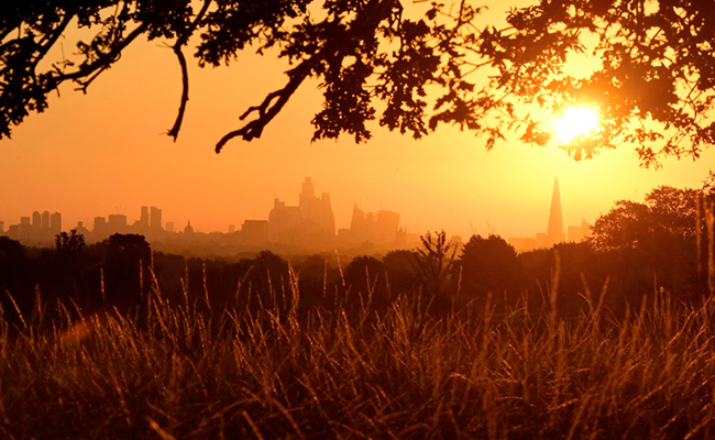 2015 To 2022 Likely To Be 8 Warmest Years Till Date: Report