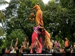 वीडियो : बूढ़ी महिला ने पिरामिड पर चढ़कर फोड़ी दही हांडी, इंटरनेट यूजर ने दिया नाम - 'Incredible Dadi' वीडियो : बूढ़ी महिला ने पिरामिड पर चढ़कर फोड़ी दही हांडी, इंटरनेट यूजर ने दिया नाम - 'Incredible Dadi'