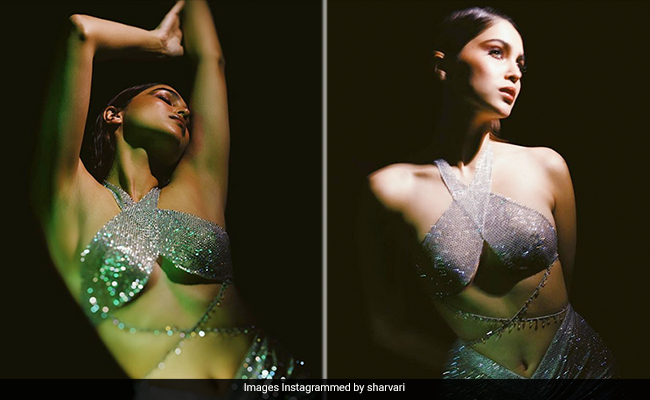 Sharvari Wagh's Spectacular Silver Set Could Dim The Light Of Every Glittering Disco Ball