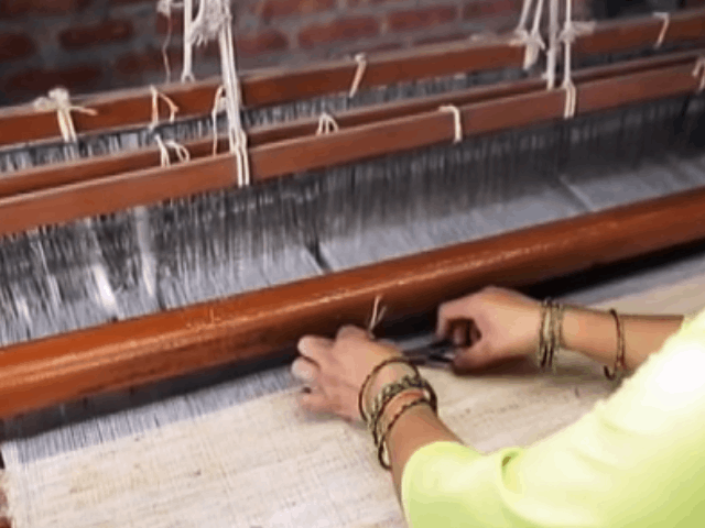 B'leaf Believes In Collective Happiness And Growth